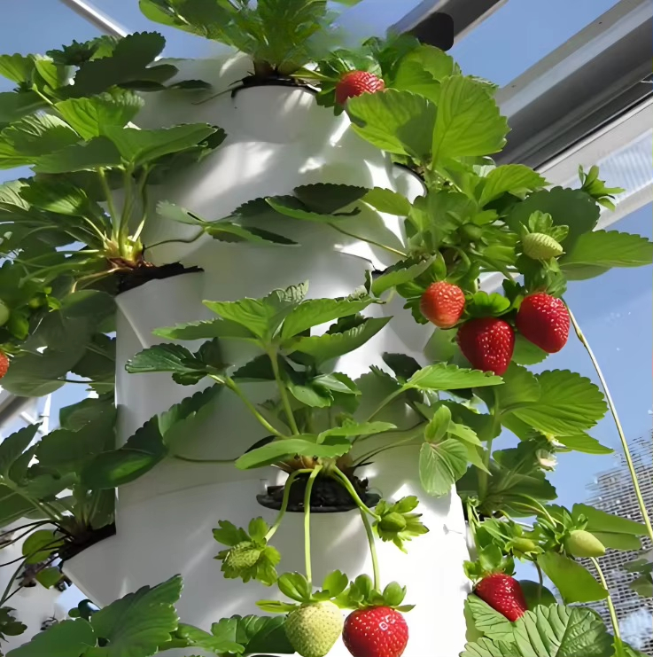 Модульная гидропонная система  – обзор и цена Urban Farming Gardening